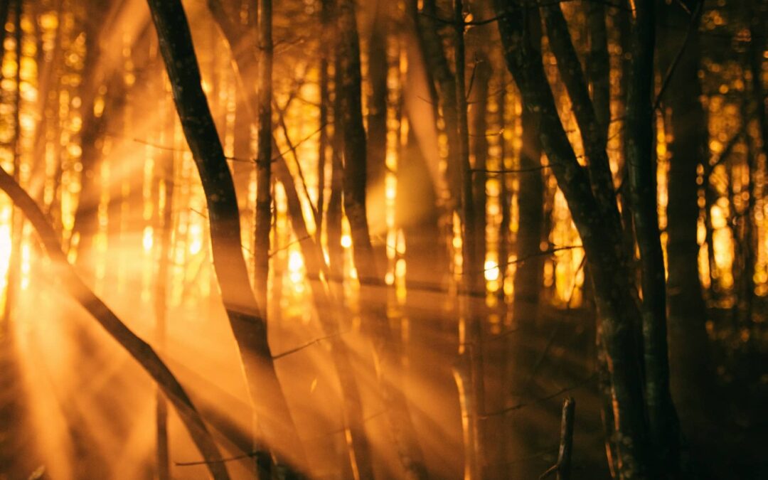 Glory Breaks In During Dark Seasons