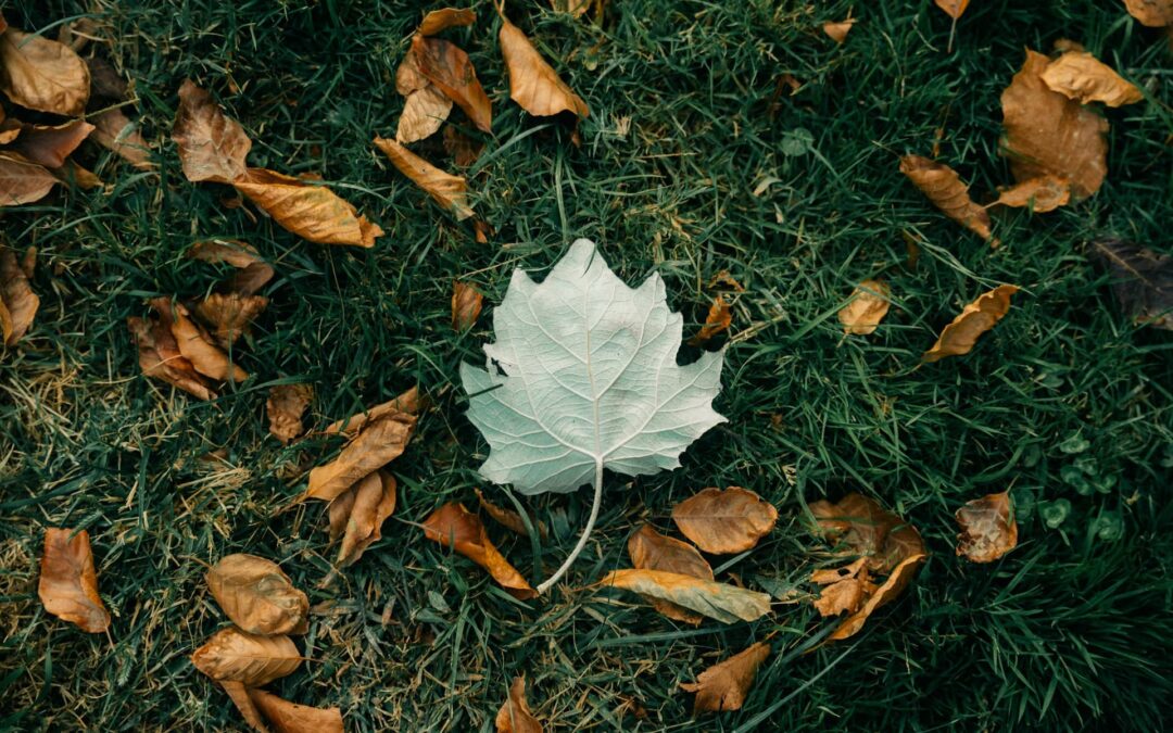 When the Old Season Ends Before the New One Appears