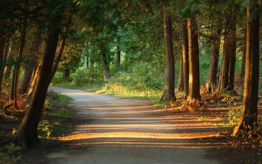 10 Things I Learned Walking With the Holy Spirit for 25 Years