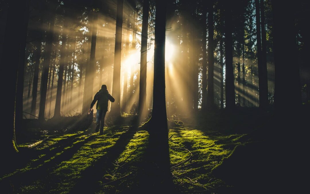 Prophetic Word: Your Breakthrough Is Closer Than You Think